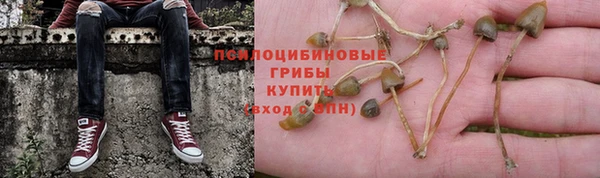 дурь Лиски