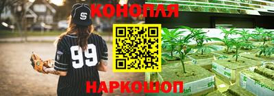 шишки Кинель