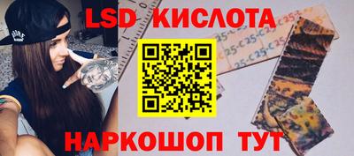 амф Донской
