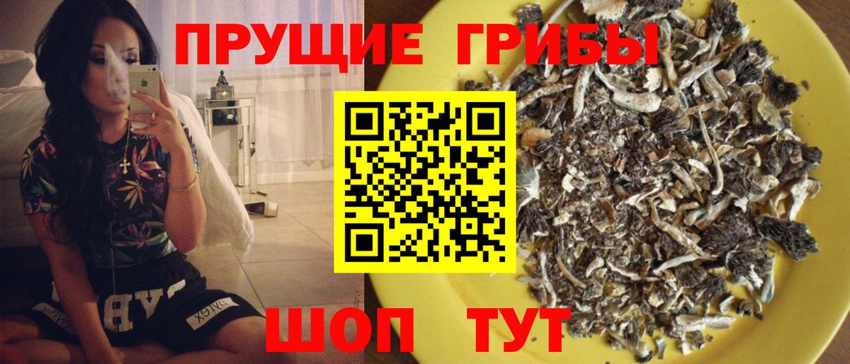 Ухта  Псилоцибиновые грибы GOLDEN TEACHER  Вход с VPN 